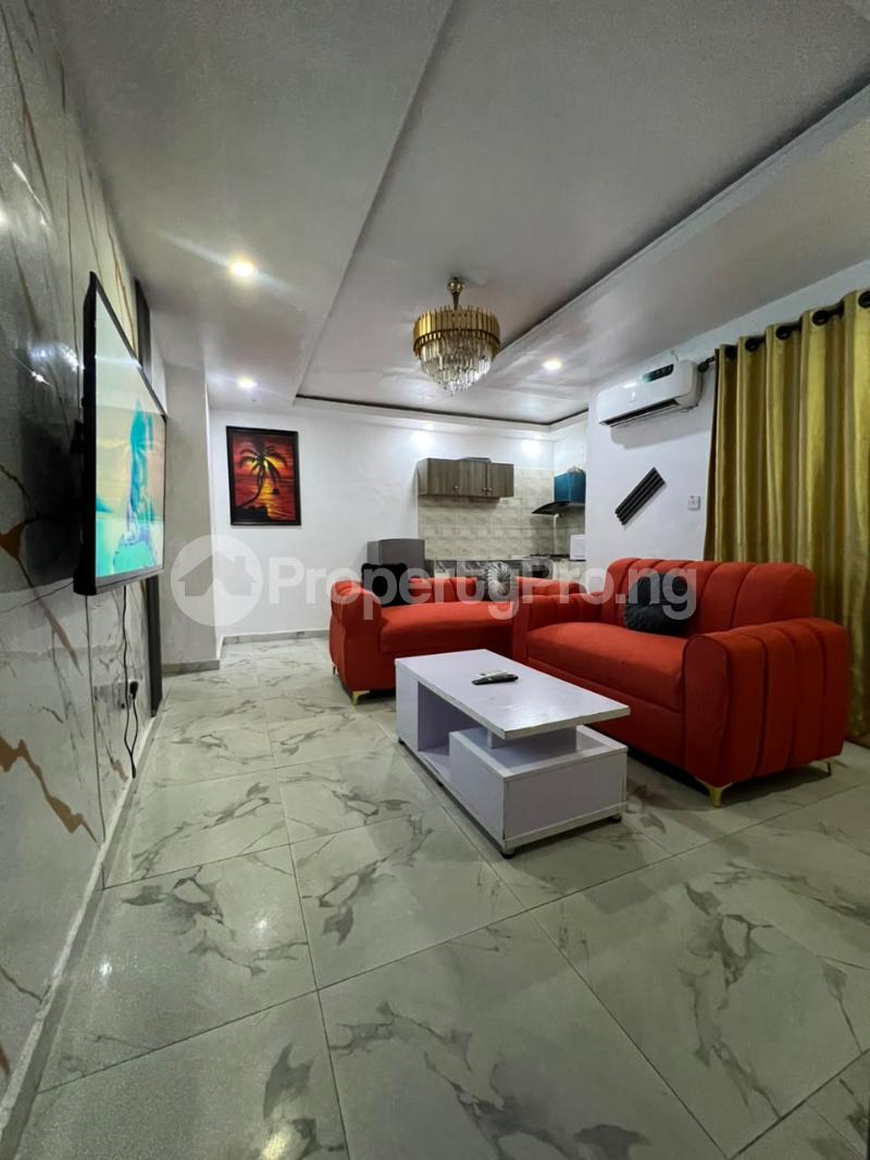 2 bedroom Flat / Apartment for shortlet Ogunlana Surulere Lagos