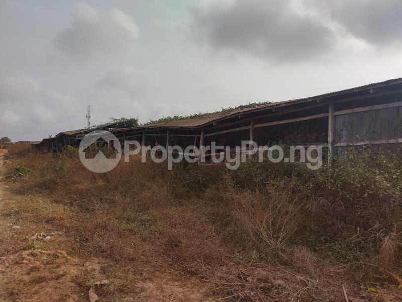 Land for sale Idi Iroko Near Abbeytech Road After Liberty Academy Akala Express Ibadan Oyo