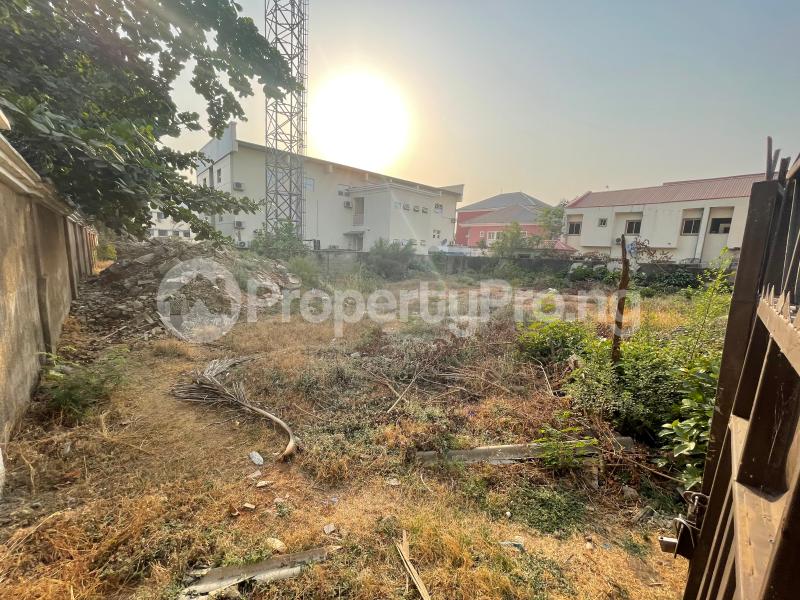 Land for sale Wuse 2 Wuse 2 Abuja - 4