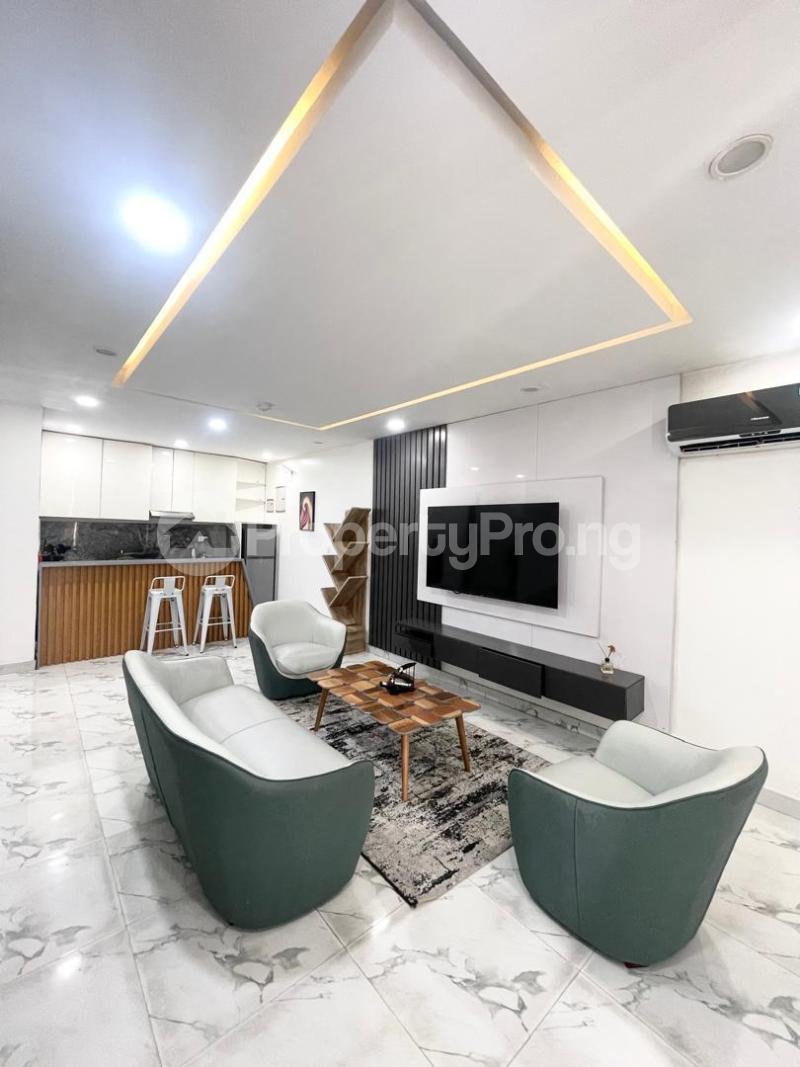 2 bedroom Flat / Apartment for rent Victoria Island Lagos - 6