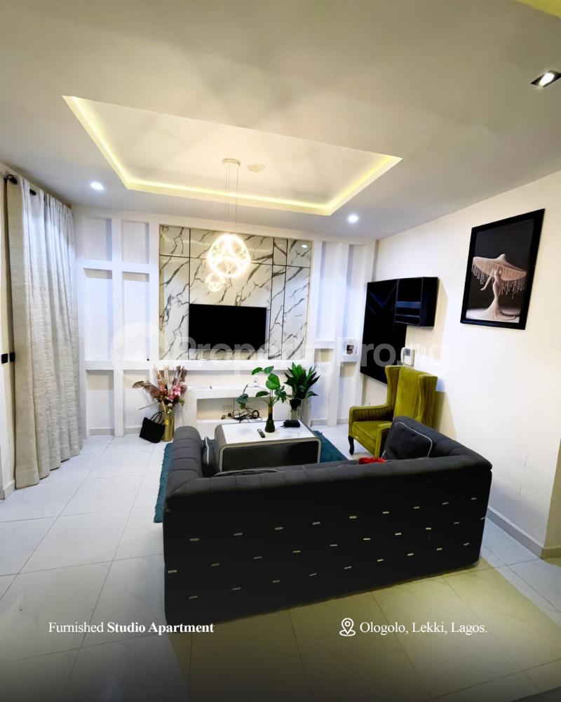 1 bedroom Flat / Apartment for rent Ologolo Lekki Lagos