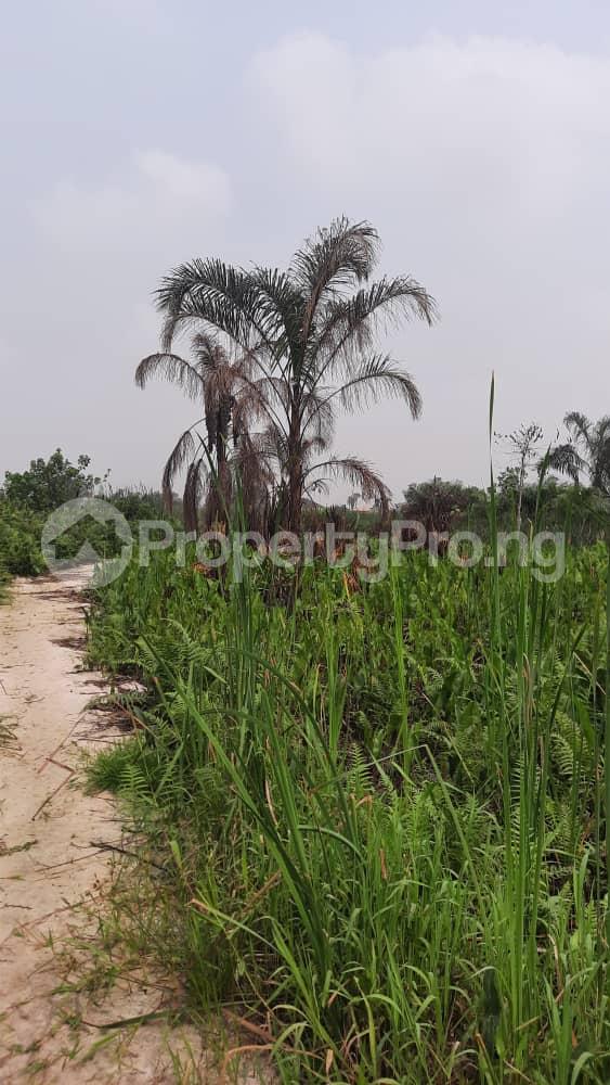 Land for sale Bogije Sangotedo Lagos