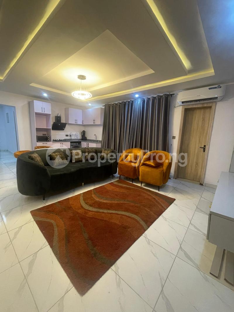 2 bedroom Flat / Apartment for rent Ikate Lekki Lagos - 8