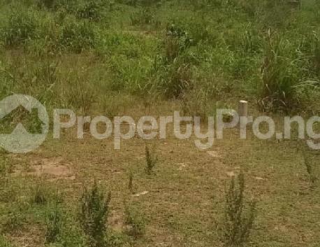 Land for sale Katampe Main Abuja - 0