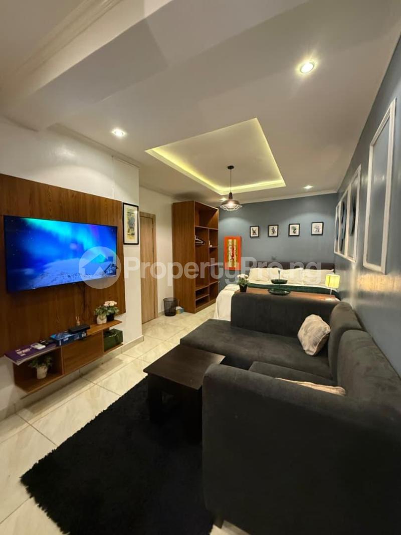 1 bedroom Flat / Apartment for shortlet Ikate Ikate Lekki Lagos