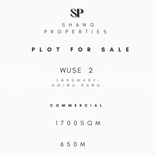 Land in Wuse 2 Abuja Land for sale in wuse2 Land in wuse2