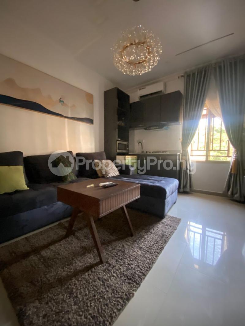 1 bedroom Flat / Apartment for rent Lekki Phase 1 Lekki Lagos