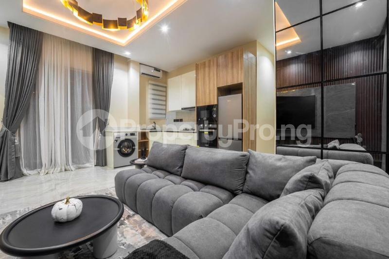 1 bedroom Flat / Apartment for shortlet Ikate Lekki Lagos