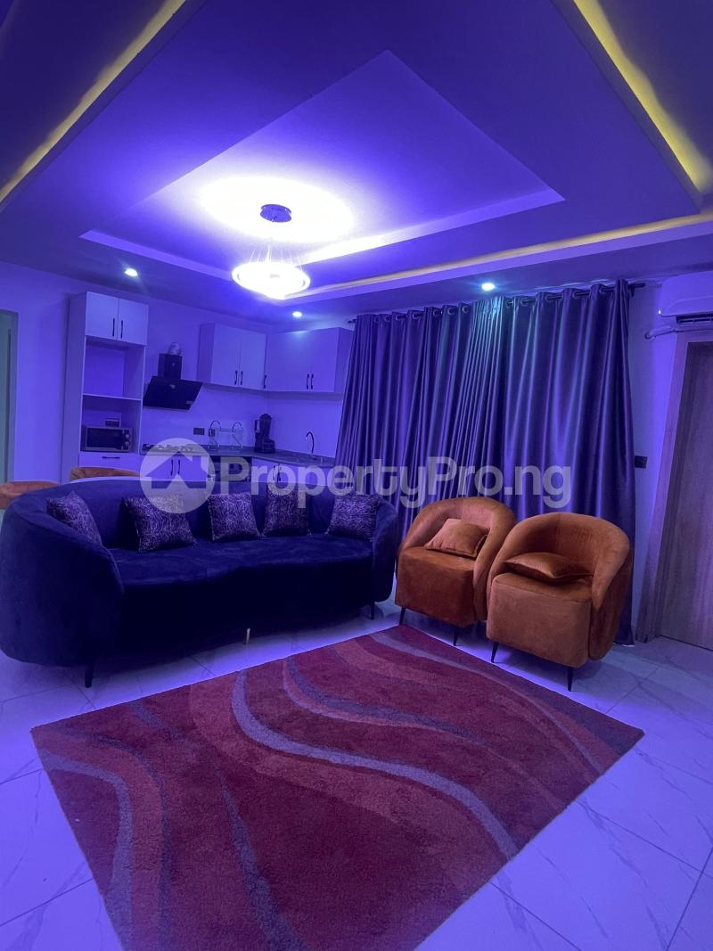 2 bedroom Flat / Apartment for rent Ikate Lekki Lagos - 9
