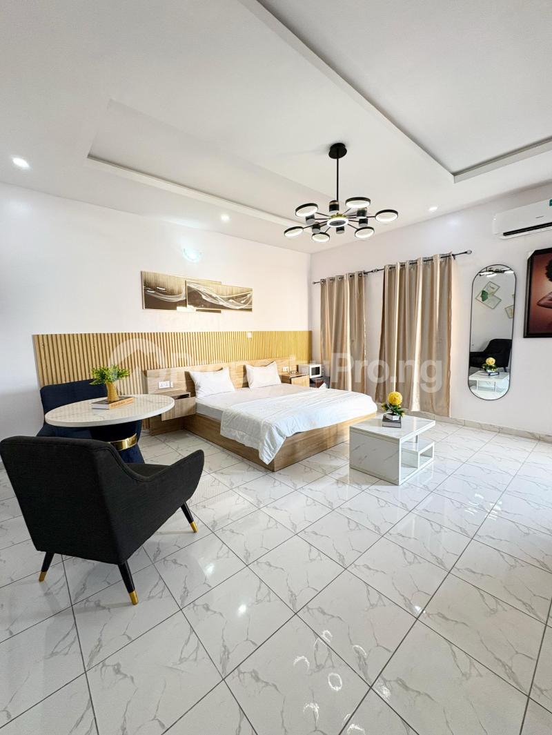 1 bedroom Flat / Apartment for rent Ologolo Lekki Lagos - 4