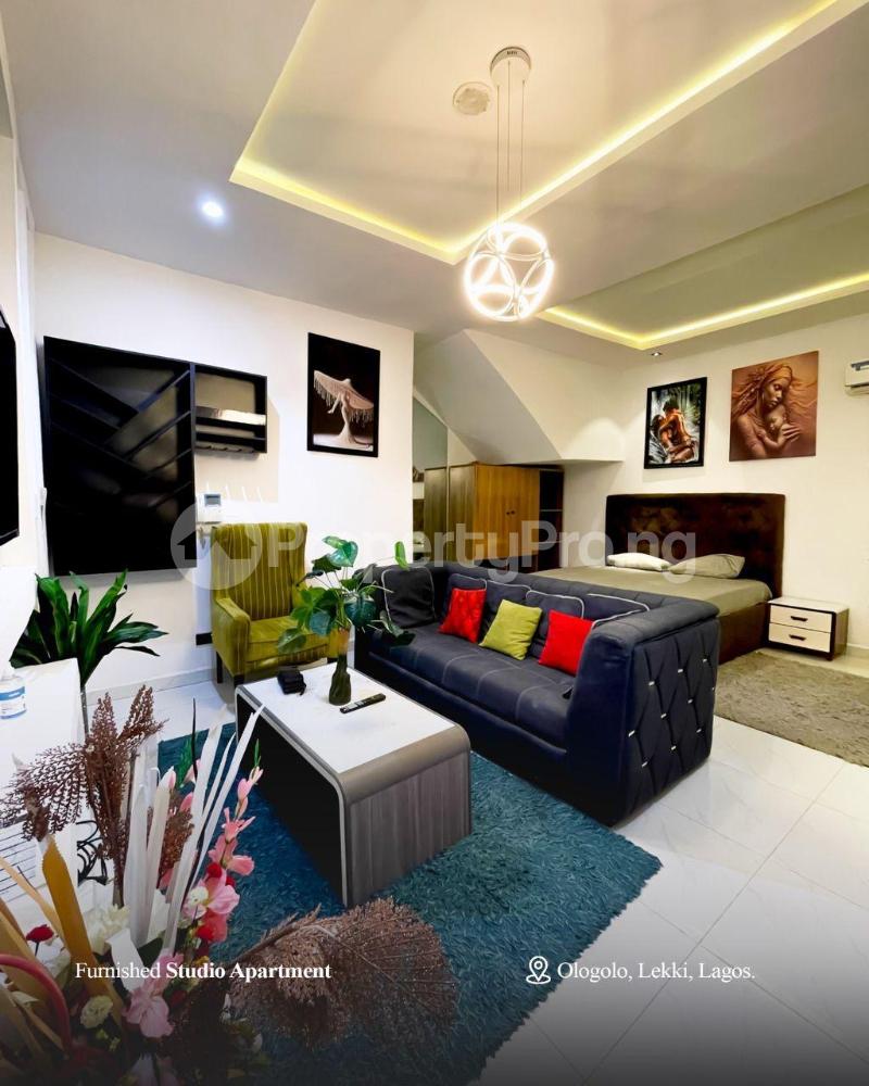 1 bedroom Flat / Apartment for rent Ologolo Lekki Lagos - 2