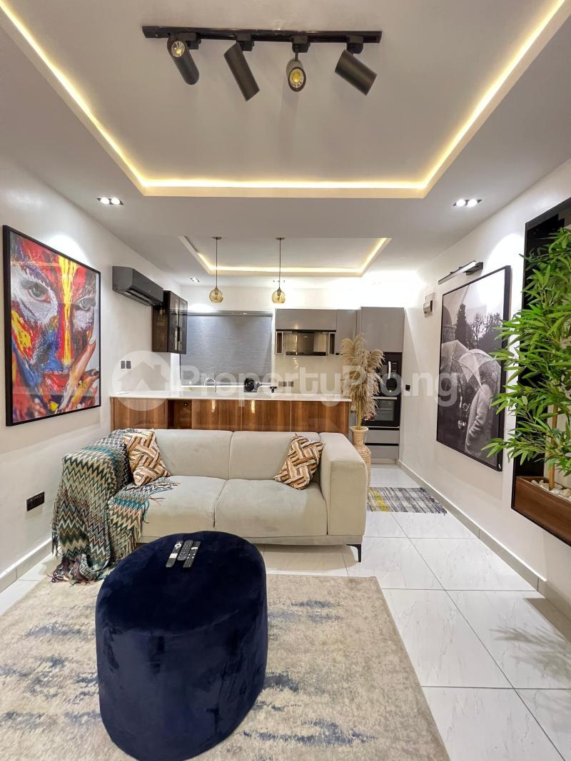 1 bedroom Flat / Apartment for shortlet Ikate Lekki Lagos