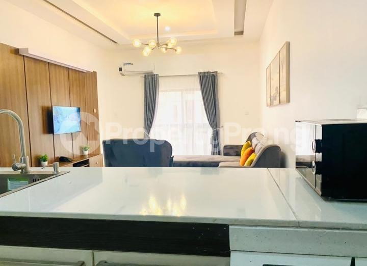 1 bedroom Flat / Apartment for shortlet Lekki Phase 1 Lekki Lagos - 6