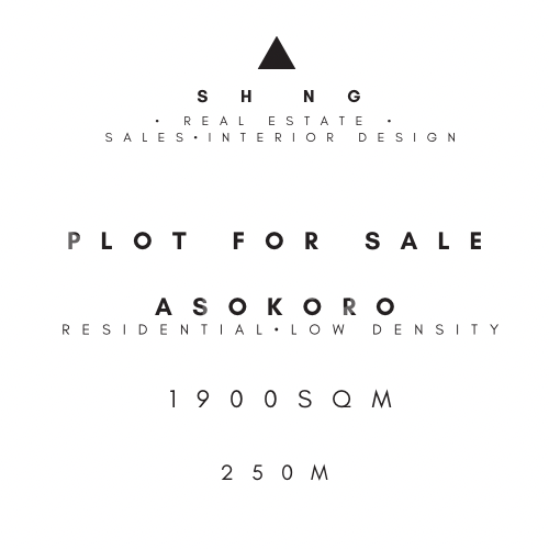 Land for sale Asokoro Abuja