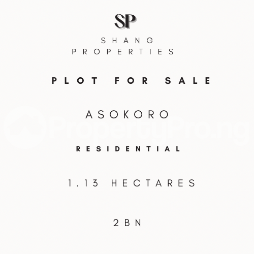 Land for sale Asokoro Abuja