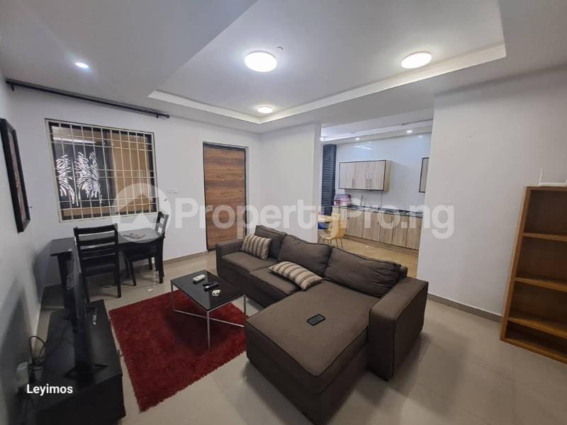2 bedroom House for rent ONIRU Victoria Island Lagos - 11