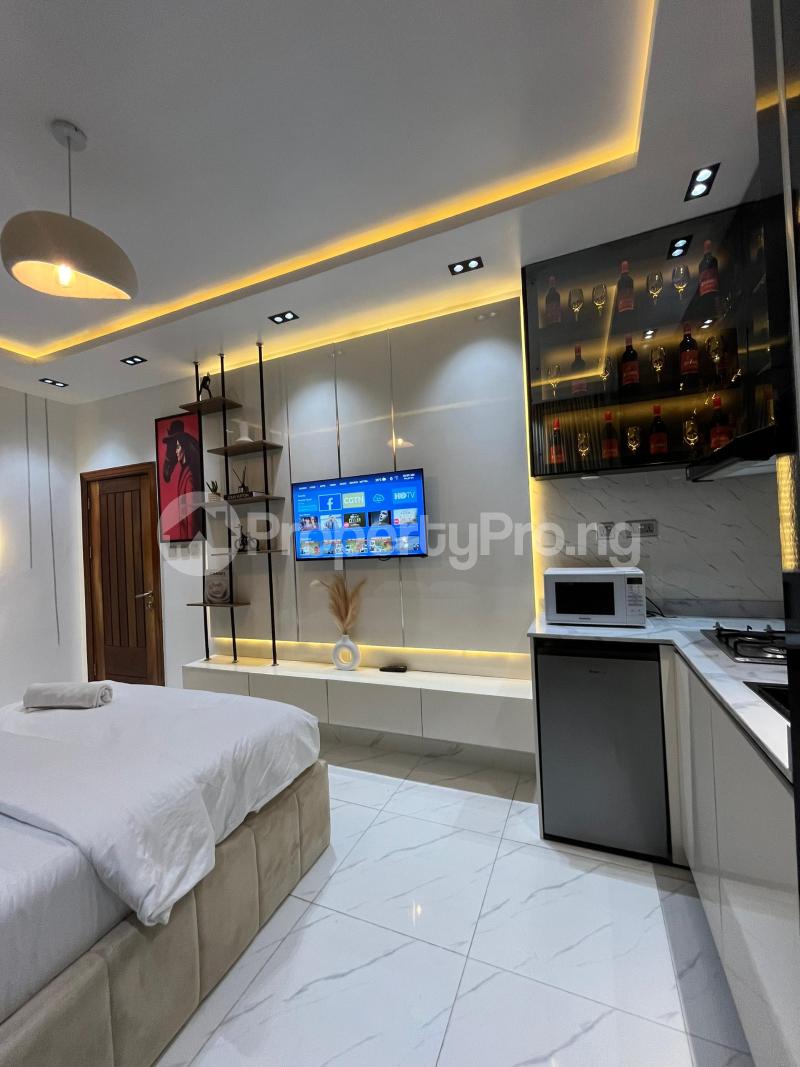 1 bedroom Flat / Apartment for shortlet ONIRU Victoria Island Lagos - 9