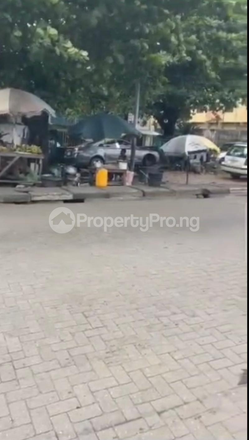 Land for sale Adelabu Surulere Lagos - 0