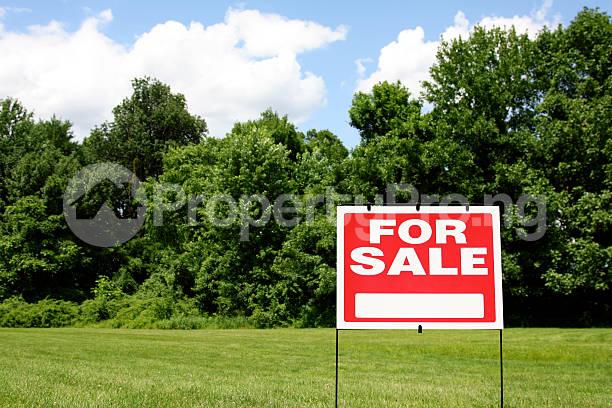 Land for sale Ogba Lagos