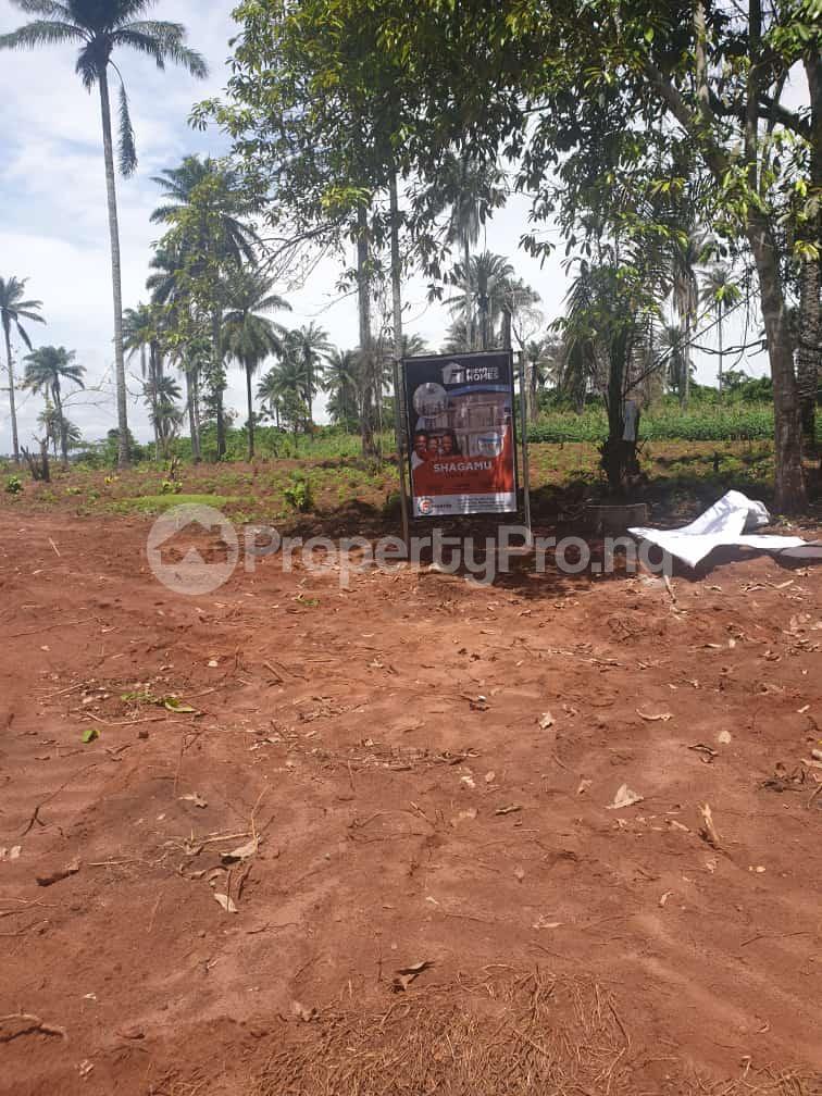 Land for sale Sagamu Sagamu Ogun - 9