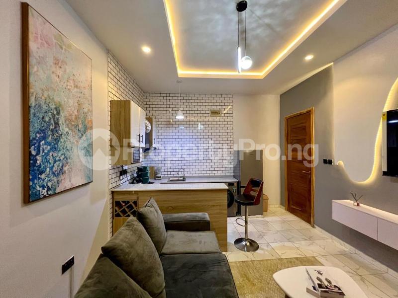 1 bedroom Flat / Apartment for shortlet New Road Igbo-efon Lekki Lagos