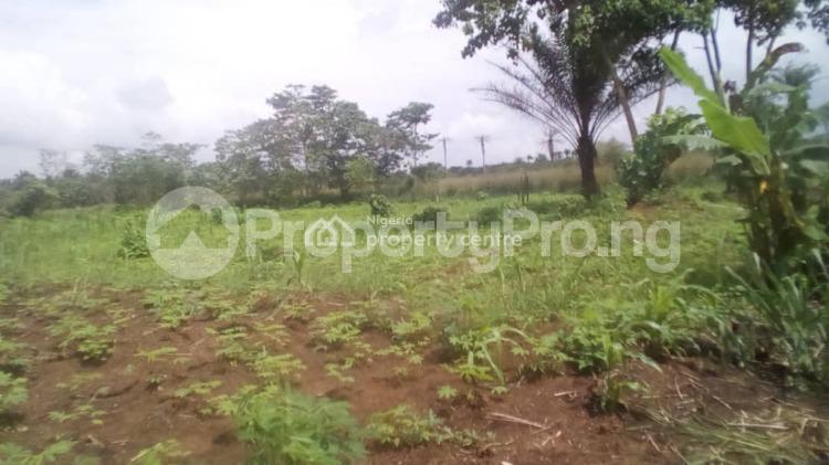 Land for sale Ngor Okpala Ngor-Okpala Imo - 0