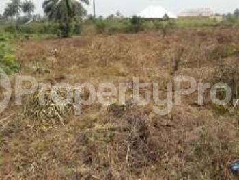 Land for sale Etuk Usan Calabar Cross River