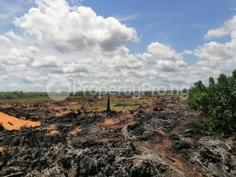 Land for sale Off Lekki-Epe Expressway Ajah Lagos - 0