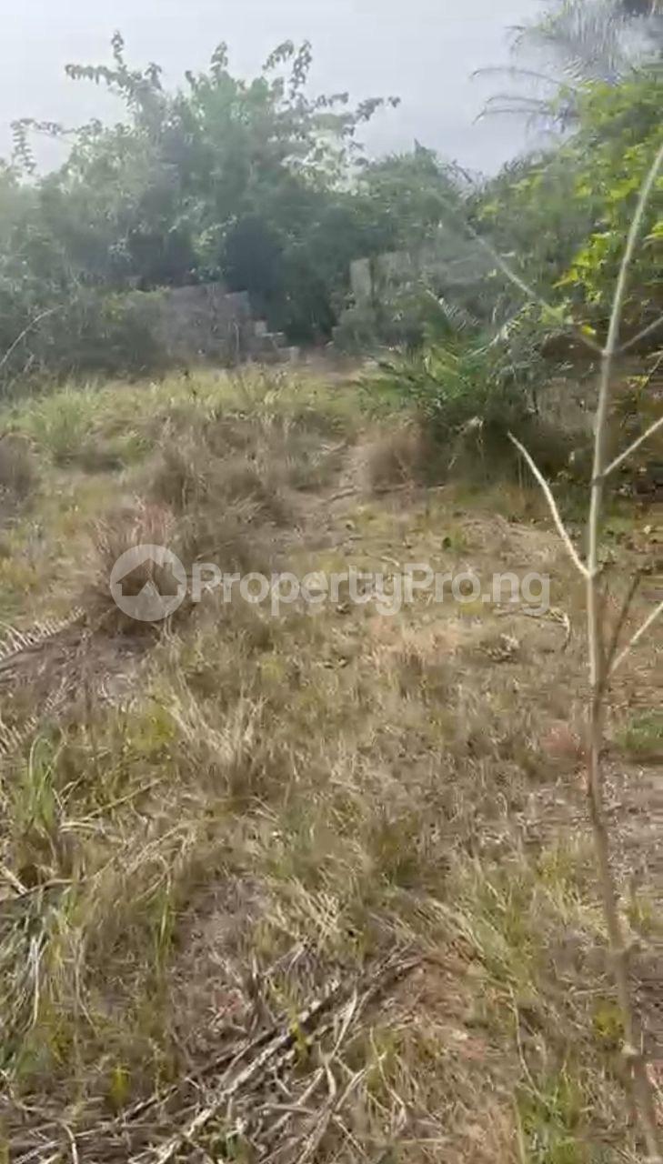 Land for sale Osoroko Village Eleko Ibeju-Lekki Lagos