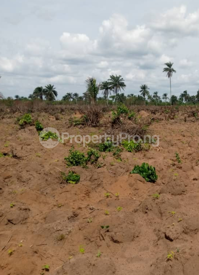 Land for sale Ivy Estate Warri South Lga Warri Delta