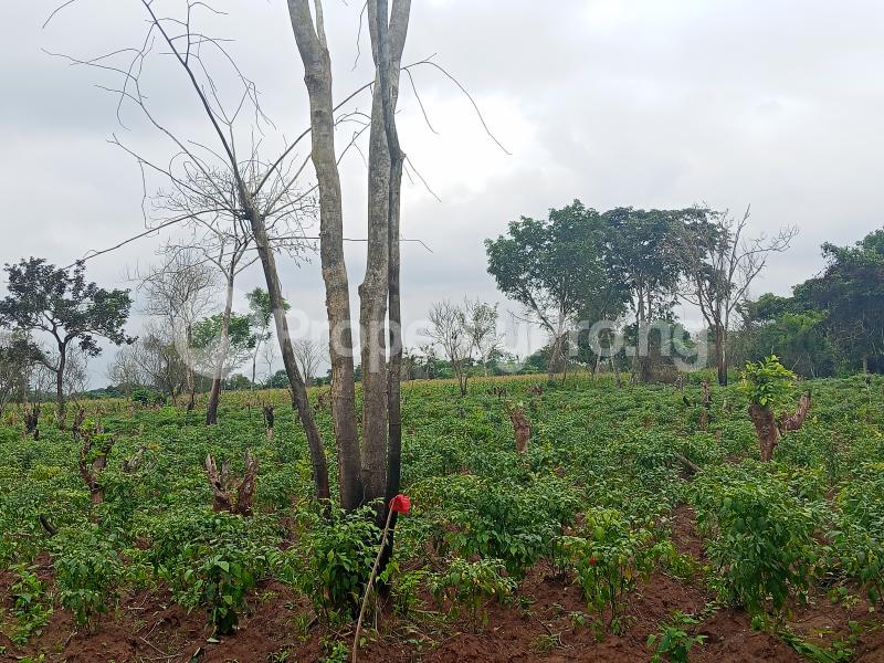 Land for sale Agbogunlenri Village, Yewa North Yewa North Ogun