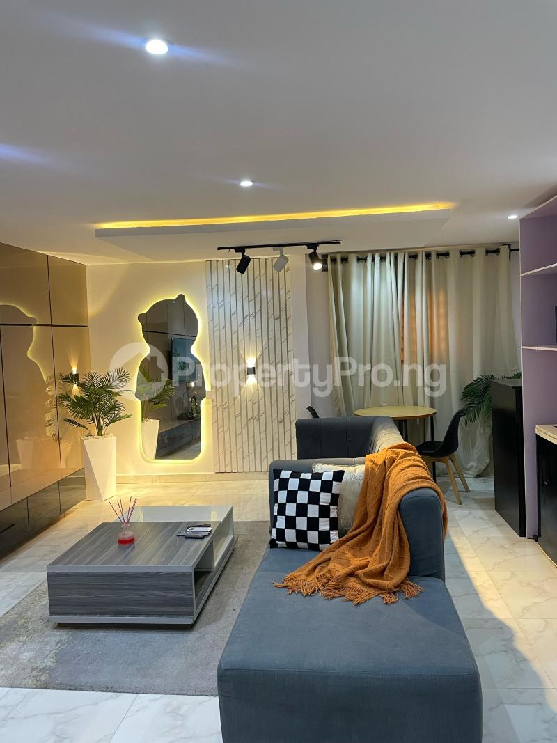 1 bedroom Flat / Apartment for shortlet Omorire Johnson Lekki Phase 1 Lekki Lagos