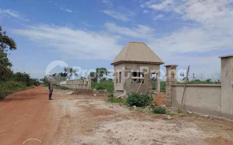 Land for sale Igbola Epe . Epe Road Epe Lagos - 1