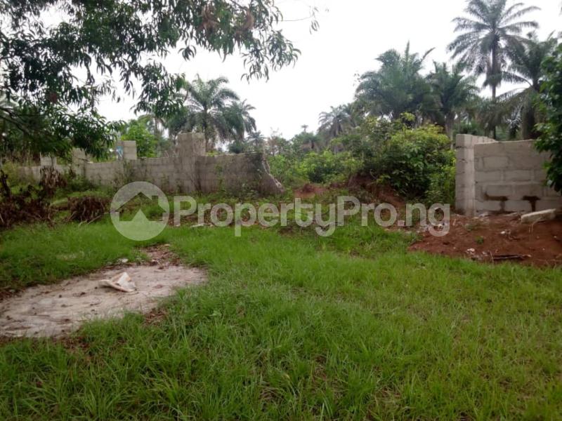 5 Bedroom Land in Ifakoogba Ogba Lagos Land for sale in ogba Land