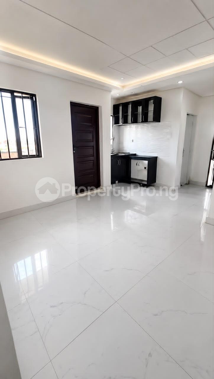 1 bedroom Flat / Apartment for rent Ilupeju Palmgrove Shomolu Lagos