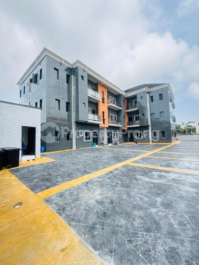 2 bedroom Flat / Apartment for rent Lekki Scheme 2 Few Minutes To Coastal Road Lekki Scheme 2 Ajah Lagos