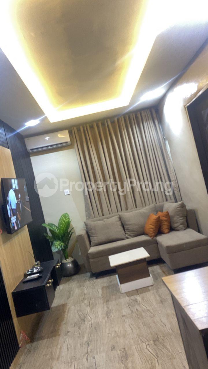1 bedroom Flat / Apartment for shortlet Salvation Opebi Ikeja Lagos - 4