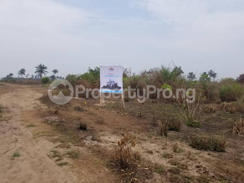 Land for sale Olomowewe Community Facing The Coastal Line Along The Free Trade Zone Road. Free Trade Zone Ibeju-Lekki Lagos