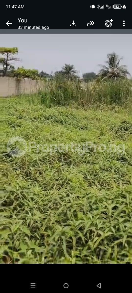 Land for sale Western Avenue Surulere Lagos