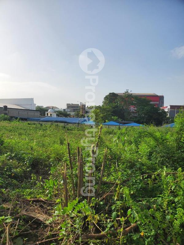 Land for sale Expoyo Drive Off Sango Samonda Road Samonda Ibadan Oyo - 0