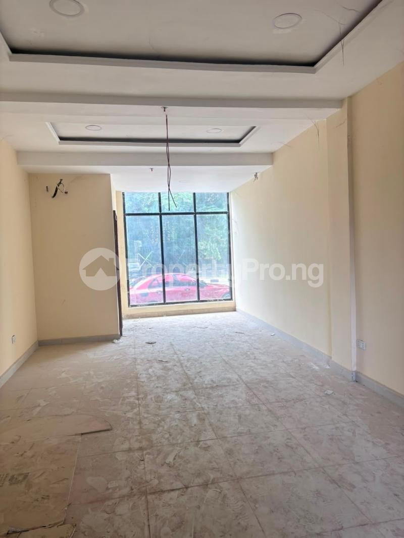 Commercial Property for rent Wuse 2 Wuse 2 Abuja