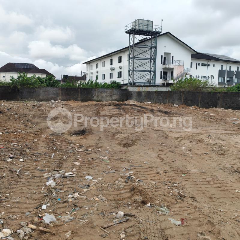 Land for sale Off Freedom Way Lekki Phase 1 Lekki Lagos