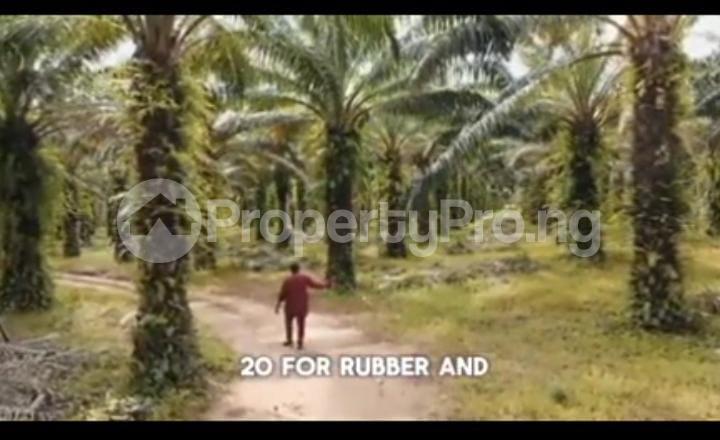 Commercial Property for sale After Iguoriakhi, Benin City Central Edo