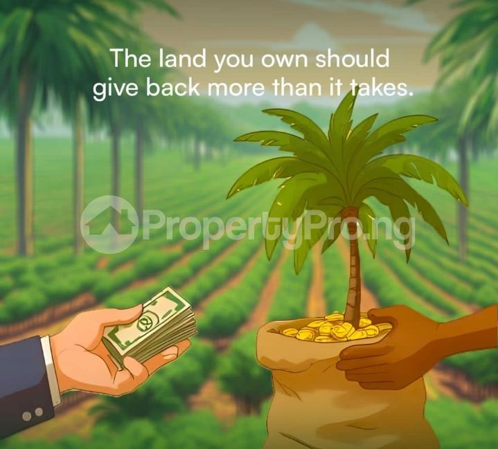 Land for sale Iseyin Oyo - 0