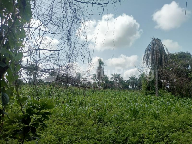 Land in Moniya Ibadan Oyo Land for sale in ibadan Land in ibadan