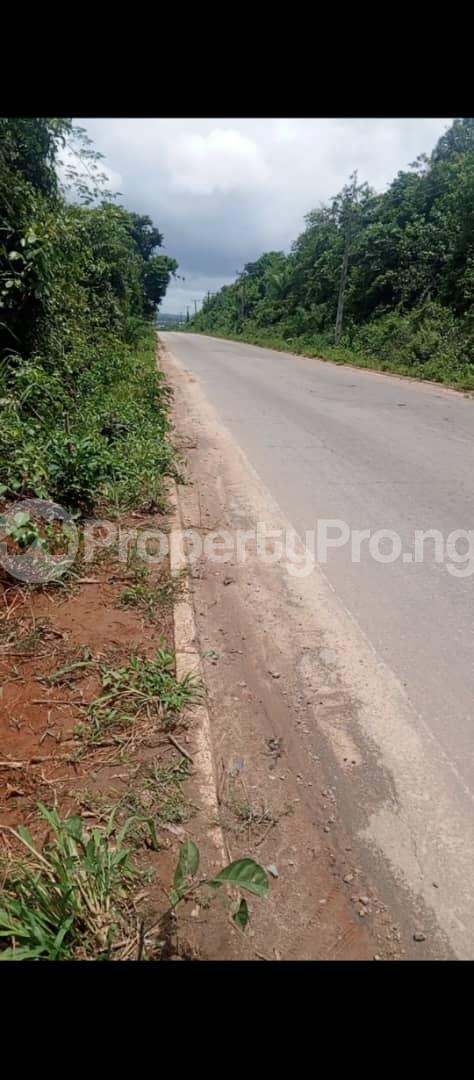 Land for sale Imota Itokun Expressway Ikorodu Ikorodu Lagos - 0