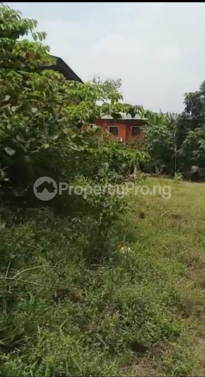 Land for sale Off Balogun Street Iju-Ishaga Agege Lagos