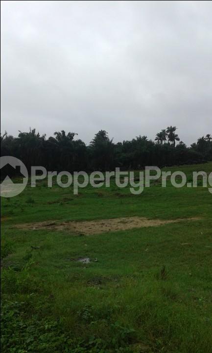 Land for sale Oke Ira, Ogba Oke-Ira Ogba Lagos