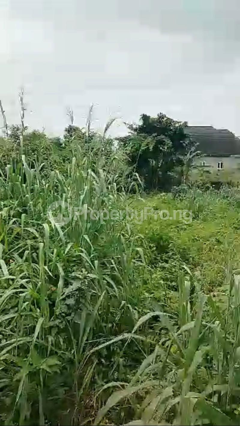 Land for sale Umuguma Owerri Imo