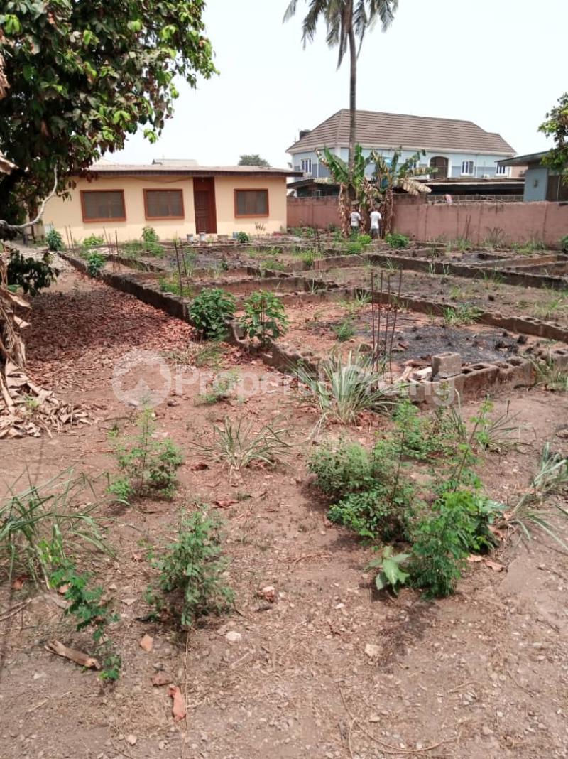 Land for sale Santos Estate Mangoro Ikeja Lagos